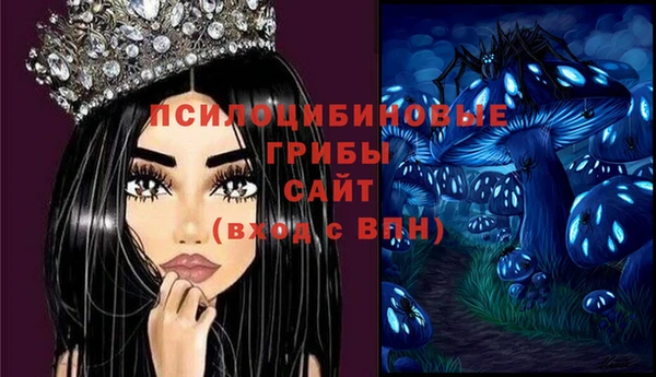 молекула духа Алексеевка