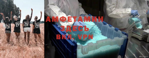 ешки Алексин